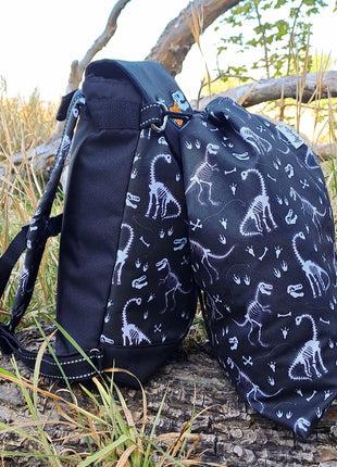 Botůžek- Dinosauři